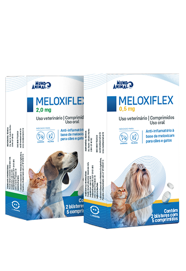 MELOXIFLEX MELOXICAM