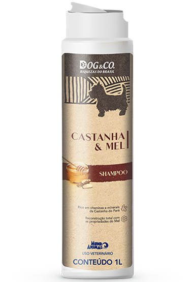 SHAMPOO CASTANHA E MEL 
