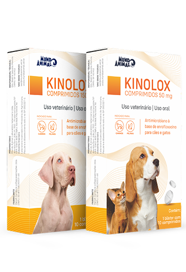 KINOLOX 50 MG E 150 MG (ENROFLOXACINO)